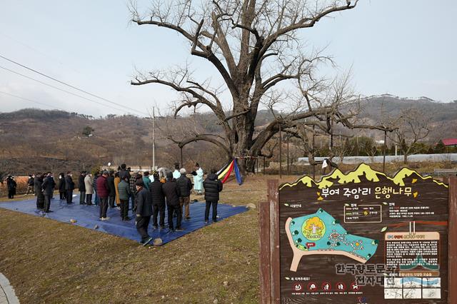 대표시청각 이미지